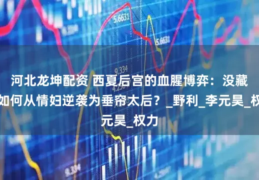 河北龙坤配资 西夏后宫的血腥博弈：没藏氏如何从情妇逆袭为垂帘太后？_野利_李元昊_权力