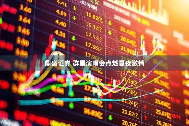 鼎盛证券 群星演唱会点燃夏夜激情