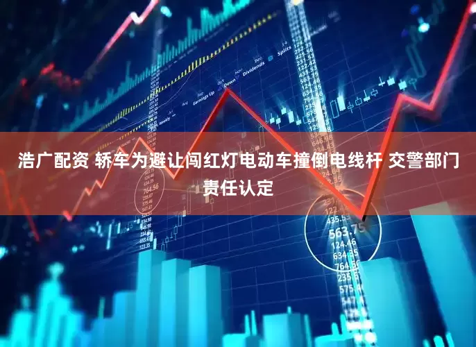 浩广配资 轿车为避让闯红灯电动车撞倒电线杆 交警部门责任认定