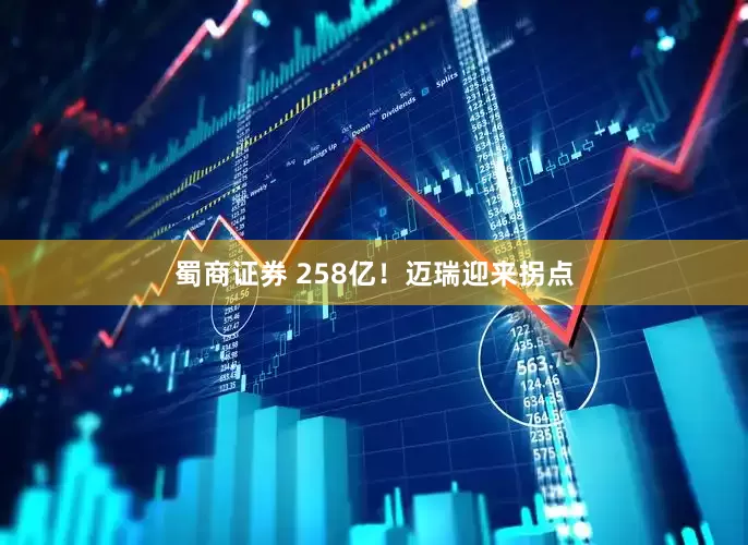 蜀商证券 258亿！迈瑞迎来拐点