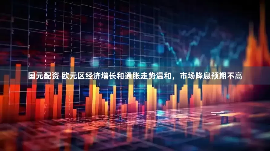 国元配资 欧元区经济增长和通胀走势温和，市场降息预期不高